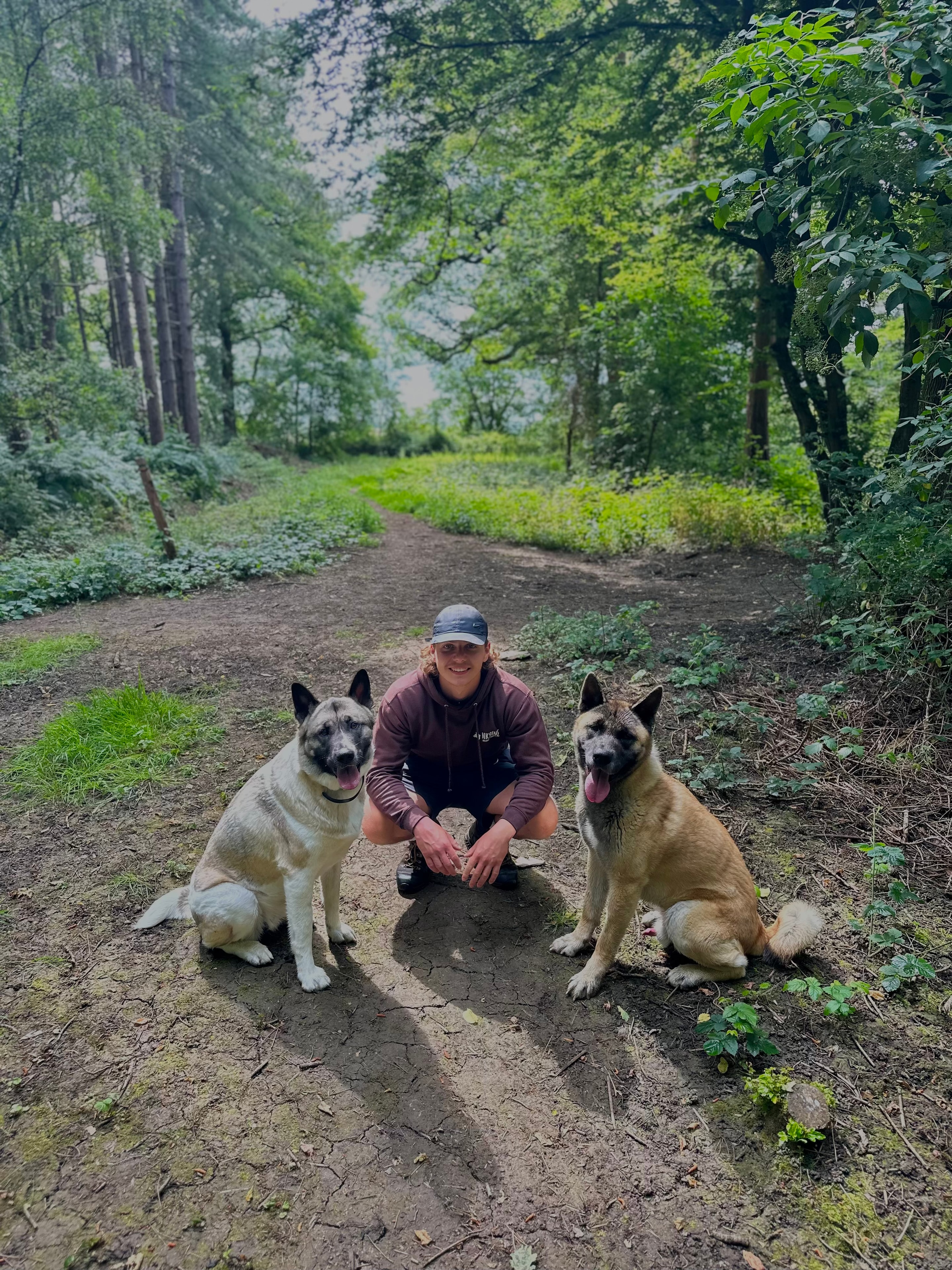 NK9INE dog trainer